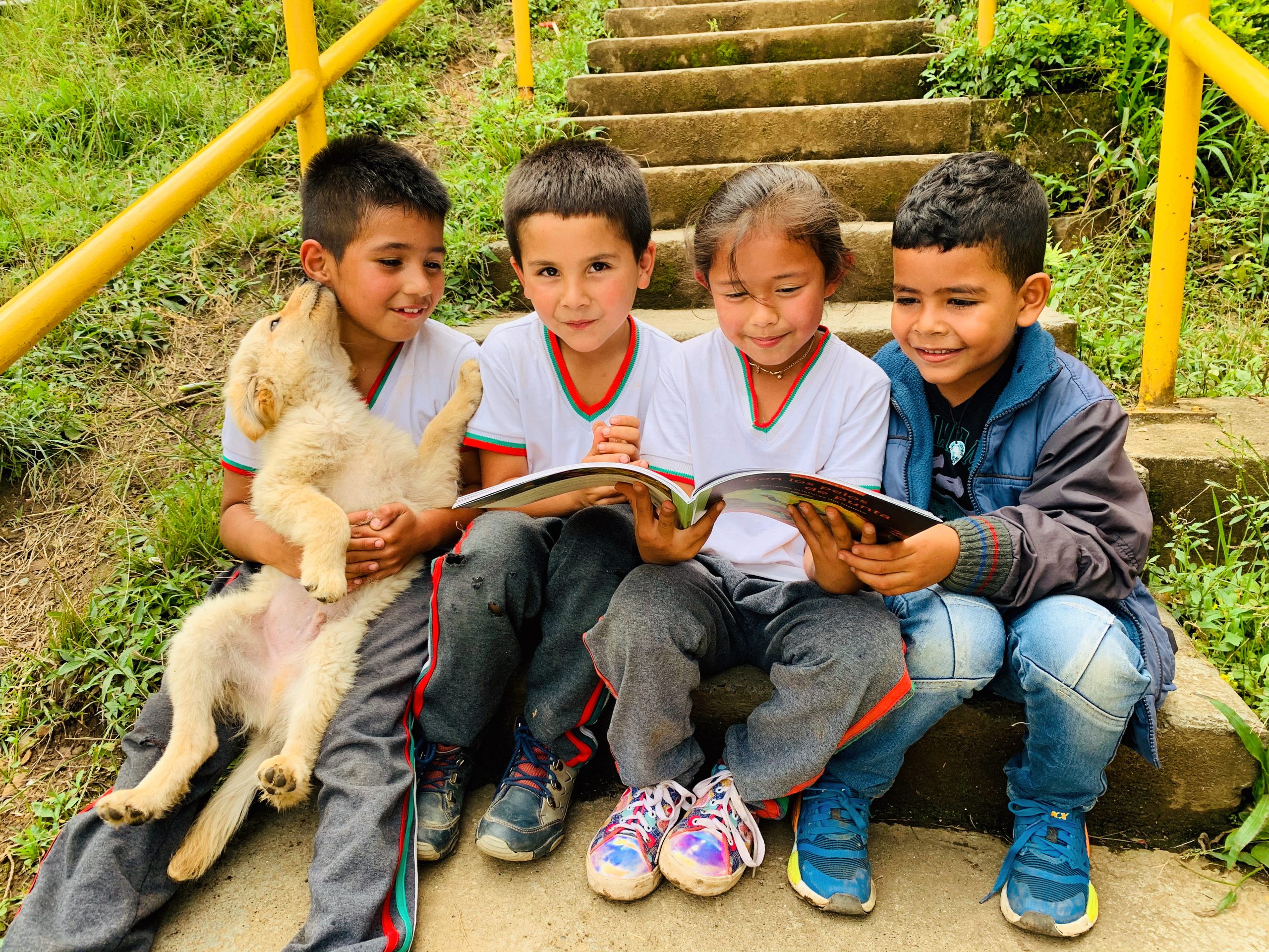 Programas de lenguaje con alumnos de primaria