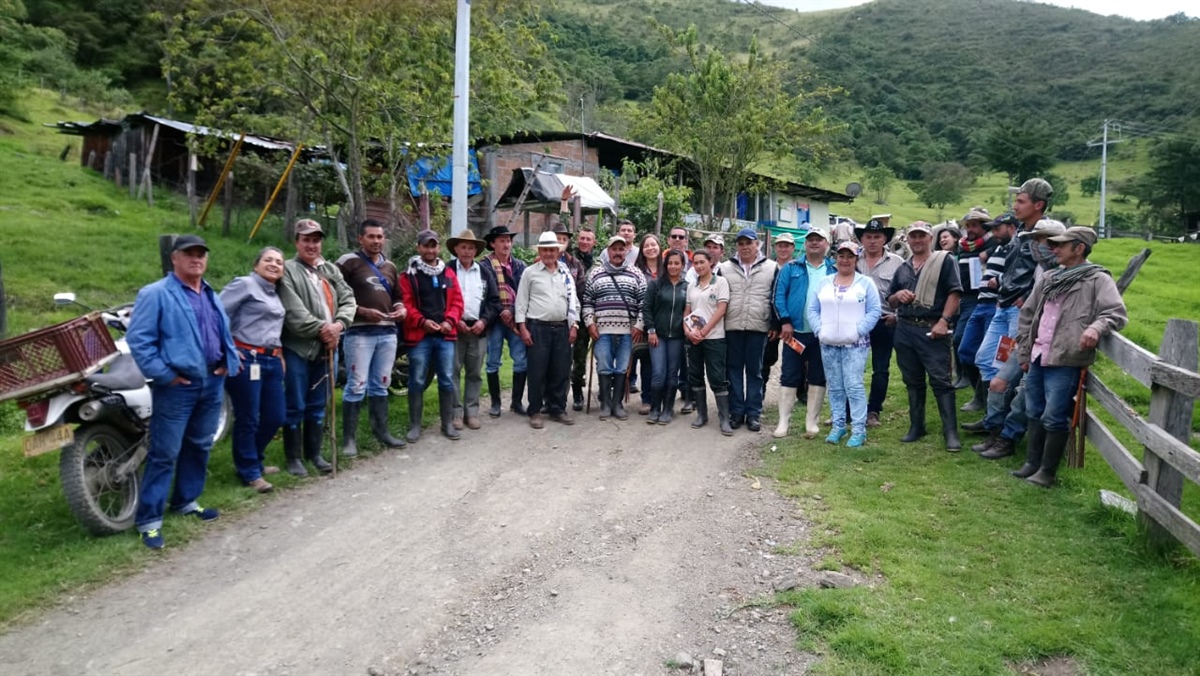 A lomo de mula llega la electricidad a una vereda anclada en la zona montañosa a tres horas de Buga