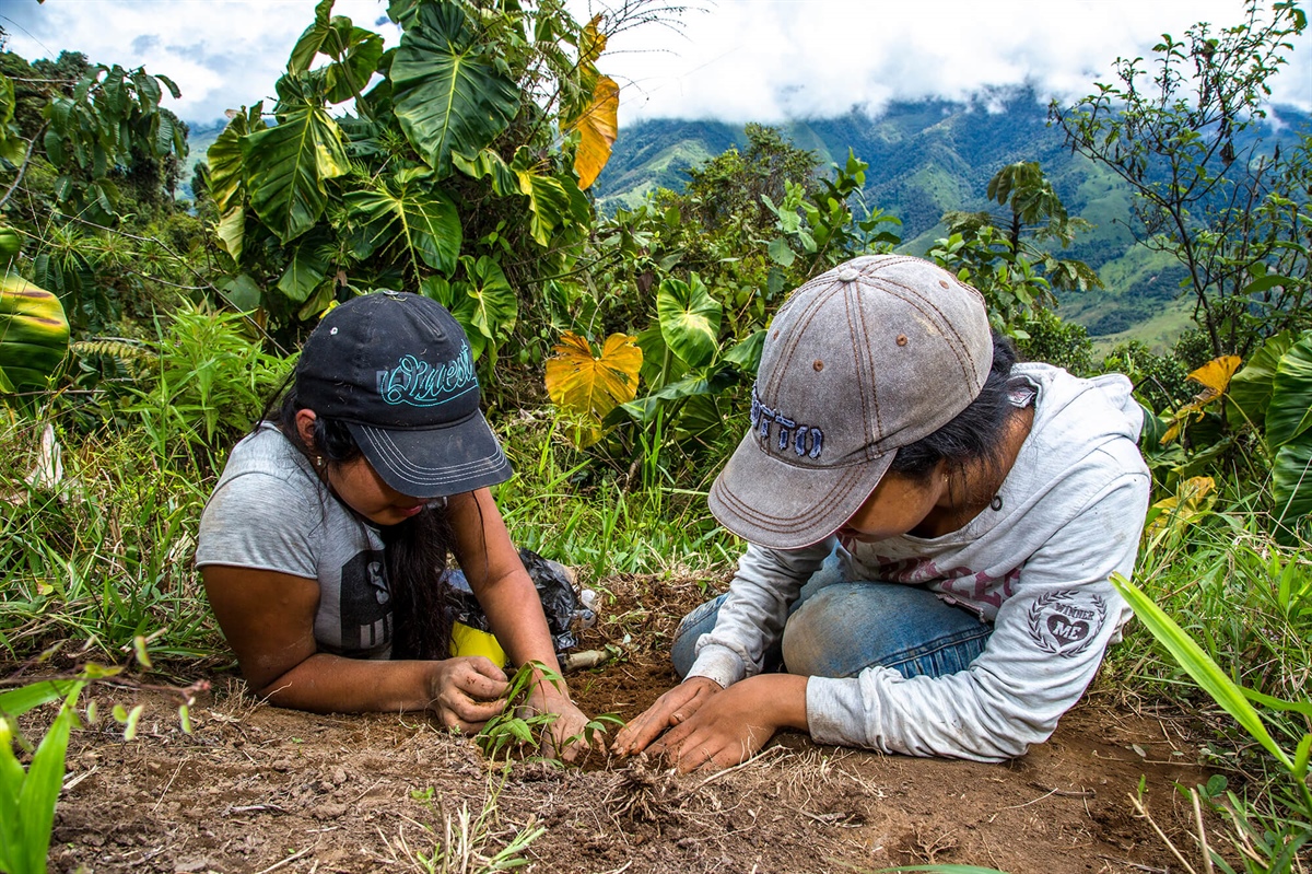 Nuestro programa ReverdeC llega a Antioquia