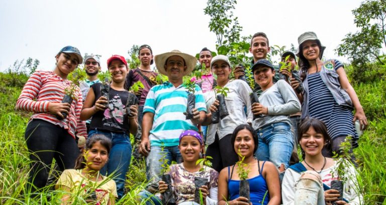 55 mil árboles del programa ReverdeC han sido sembrados por comunidades y voluntarios en el Valle del Cauca
