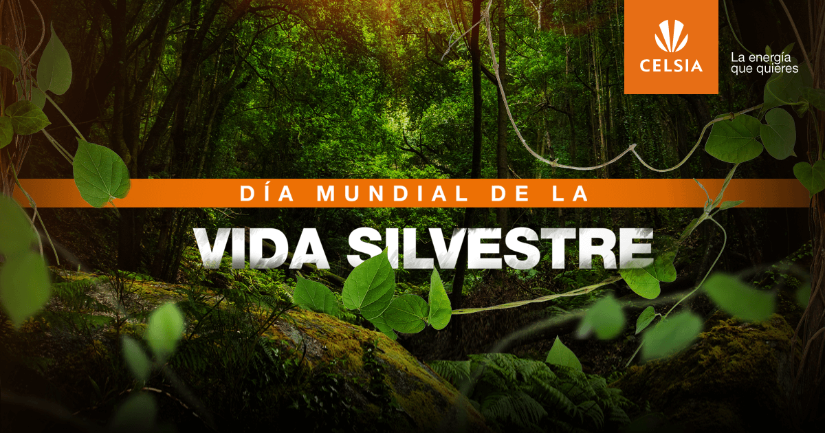 En Celsia protegemos la vida silvestre