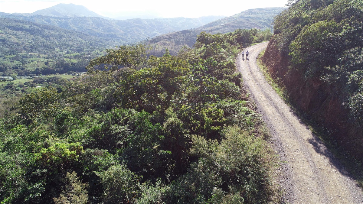 Celsia construirá en Cauca una nueva vía de 10 km financiada con Obras por Impuestos