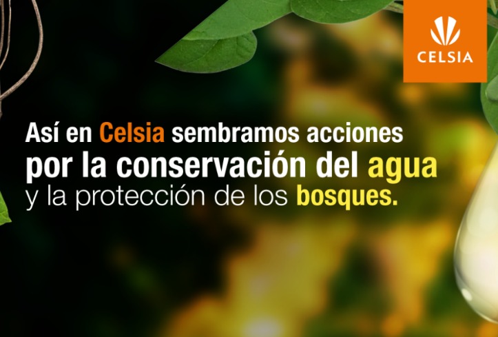 Sembramos acciones por la conservación del agua y protección de los bosques