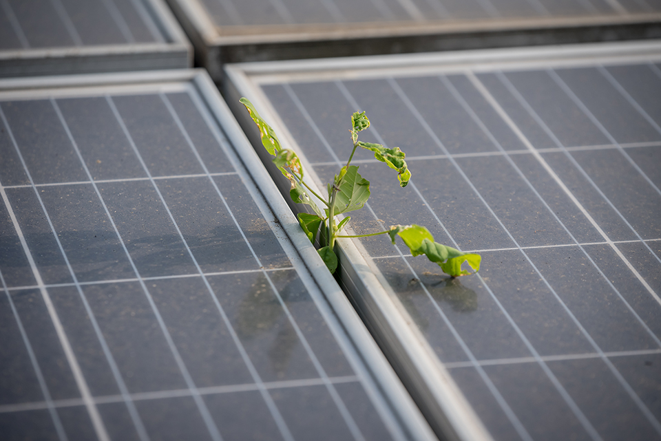 Celsia y Grupo Bancolombia Capital se unen para promover sistemas de energía solar para empresas