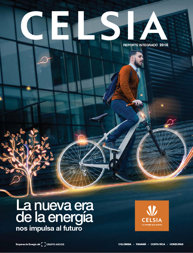 [:es]REPORTE-INTEGRADO_CELSIA_2018[:]