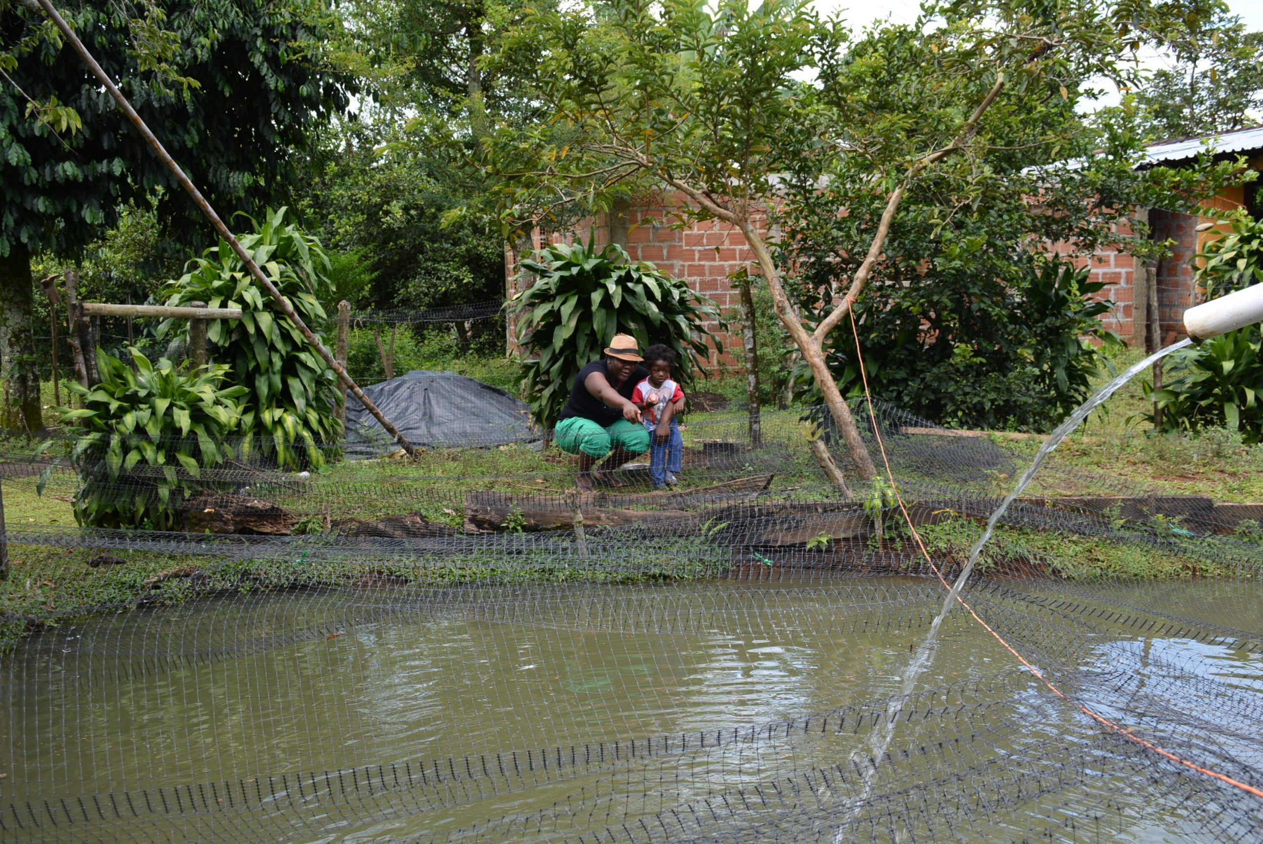 Celsia apoya a 103 familias vecinas de la hidroeléctrica de Salvajina, al norte del Cauca, con proyecto piscícola