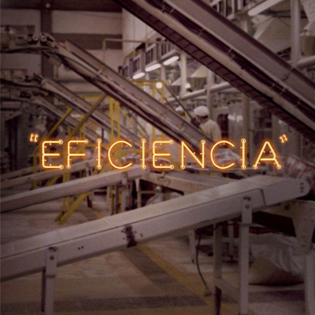 Soluciones en eficiencia energética