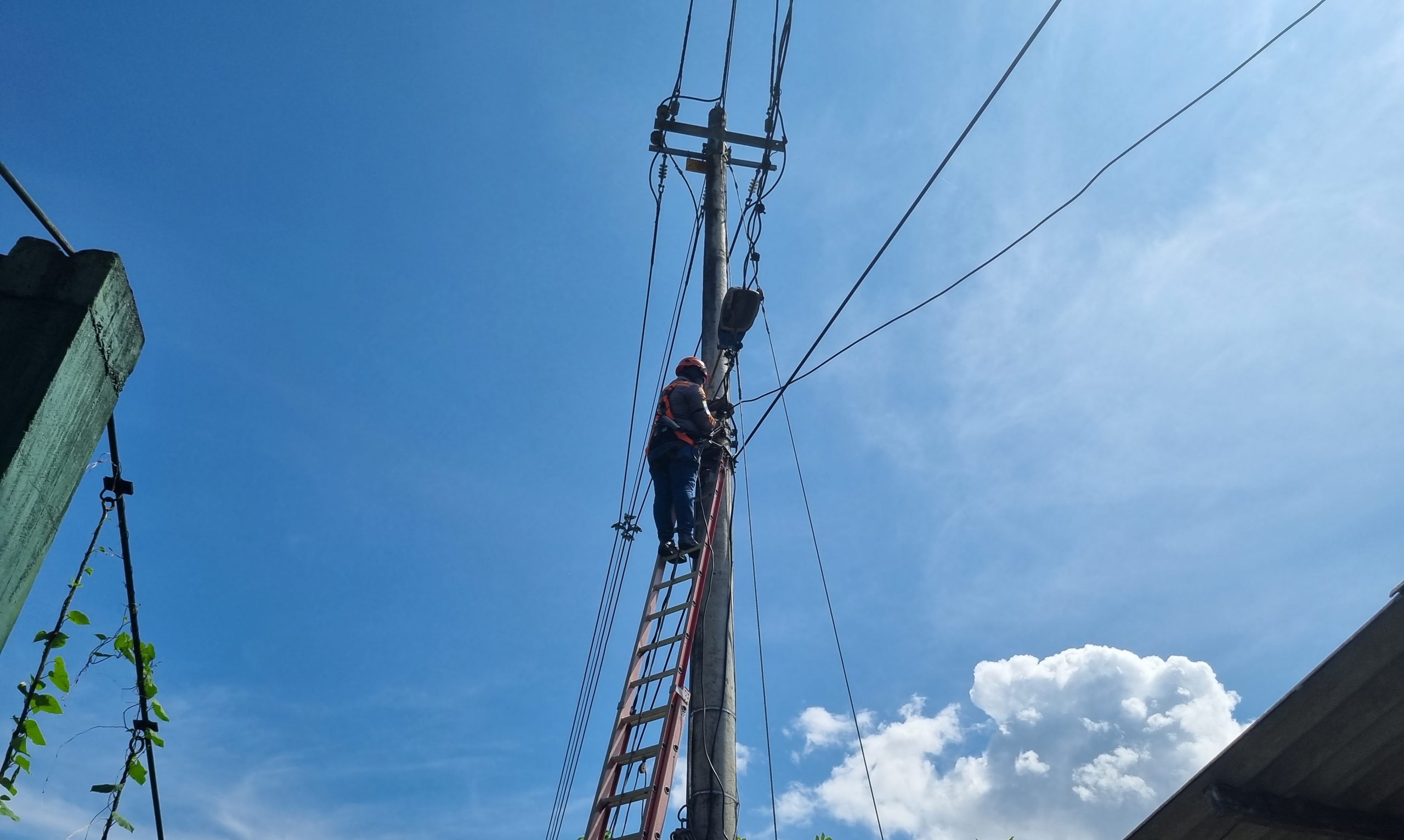 Celsia Has Invested in Valle More Than $2.27 Billion in Connection Standardization, Network Modernization and New Meters