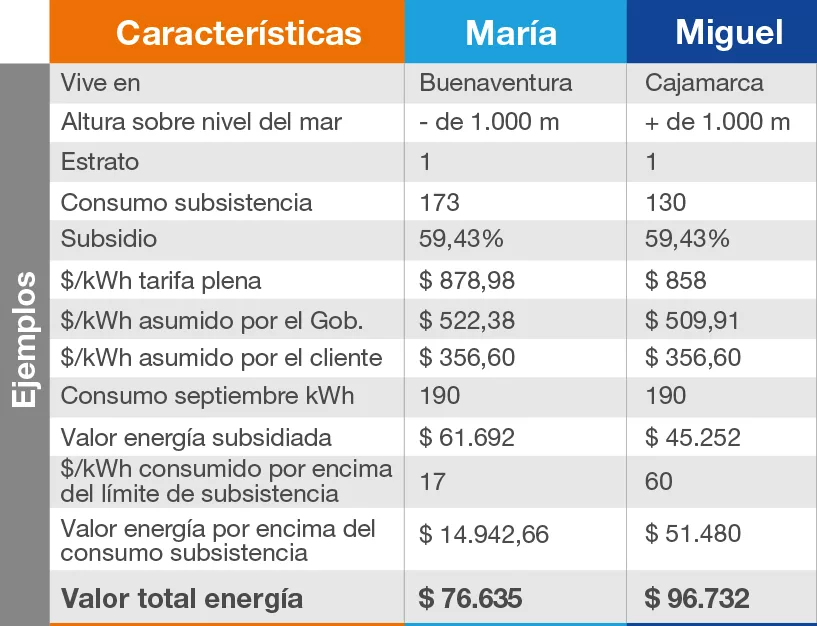 consumo de subsistencia