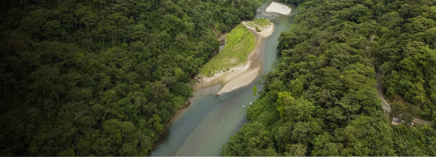 Gestión ambiental
