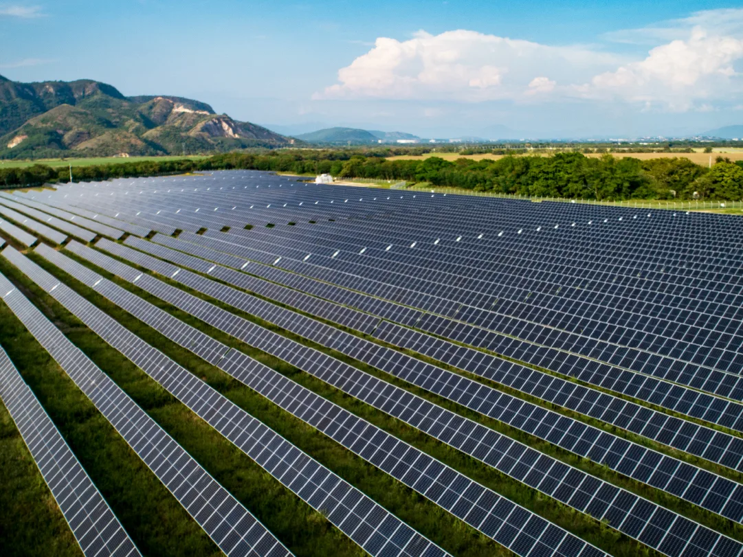 ¿Cómo se remunera la energía de una baby farm?