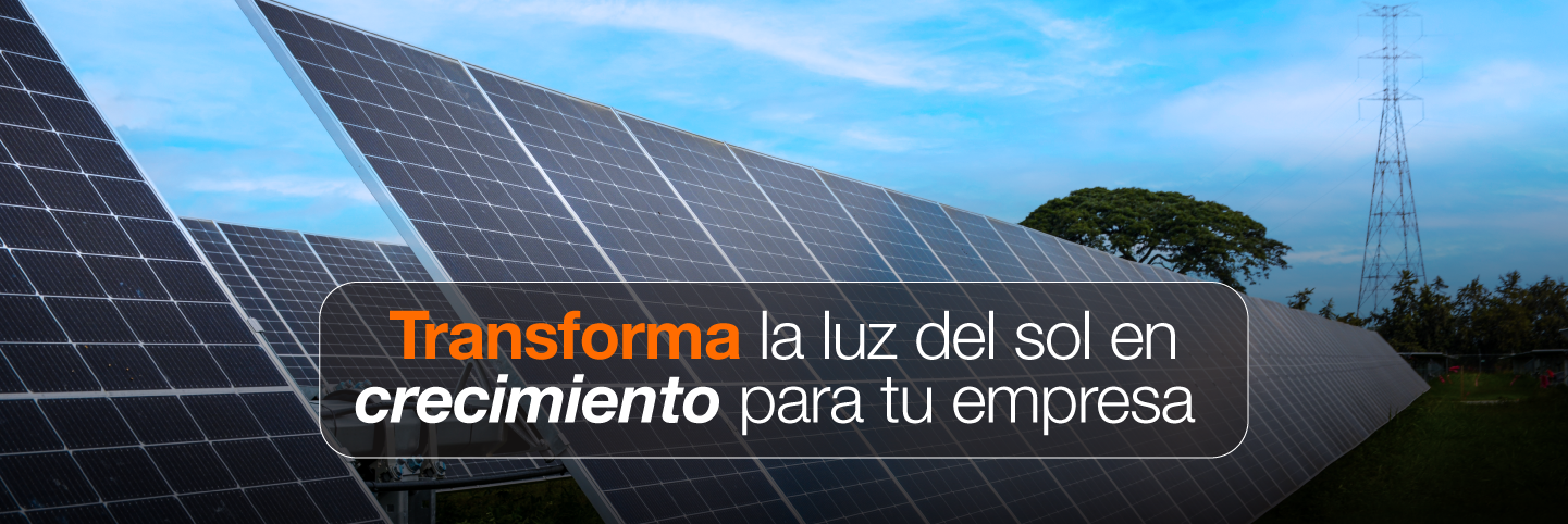 ¿Qué es una granja solar?