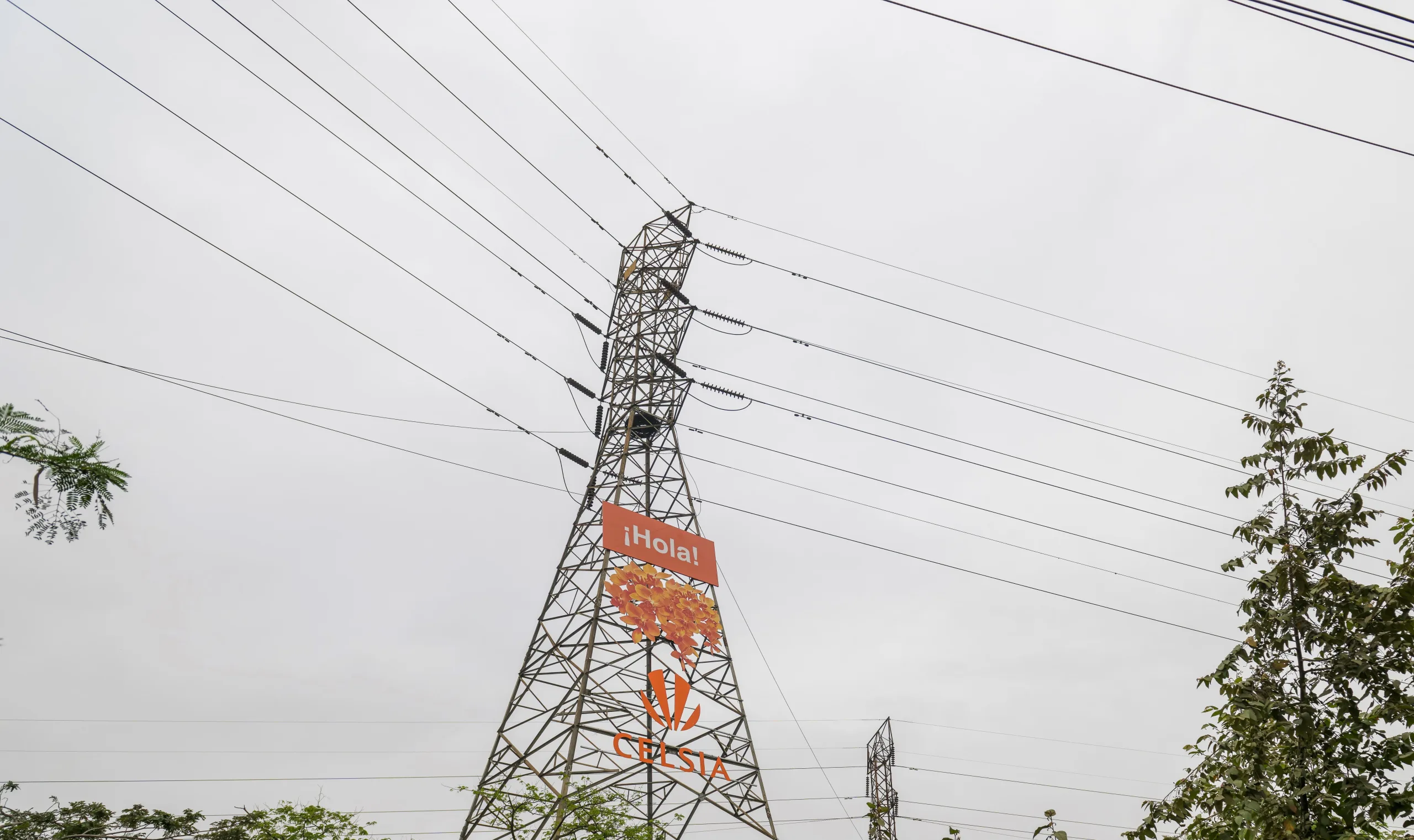 Audiencia pública de evaluación de resultados