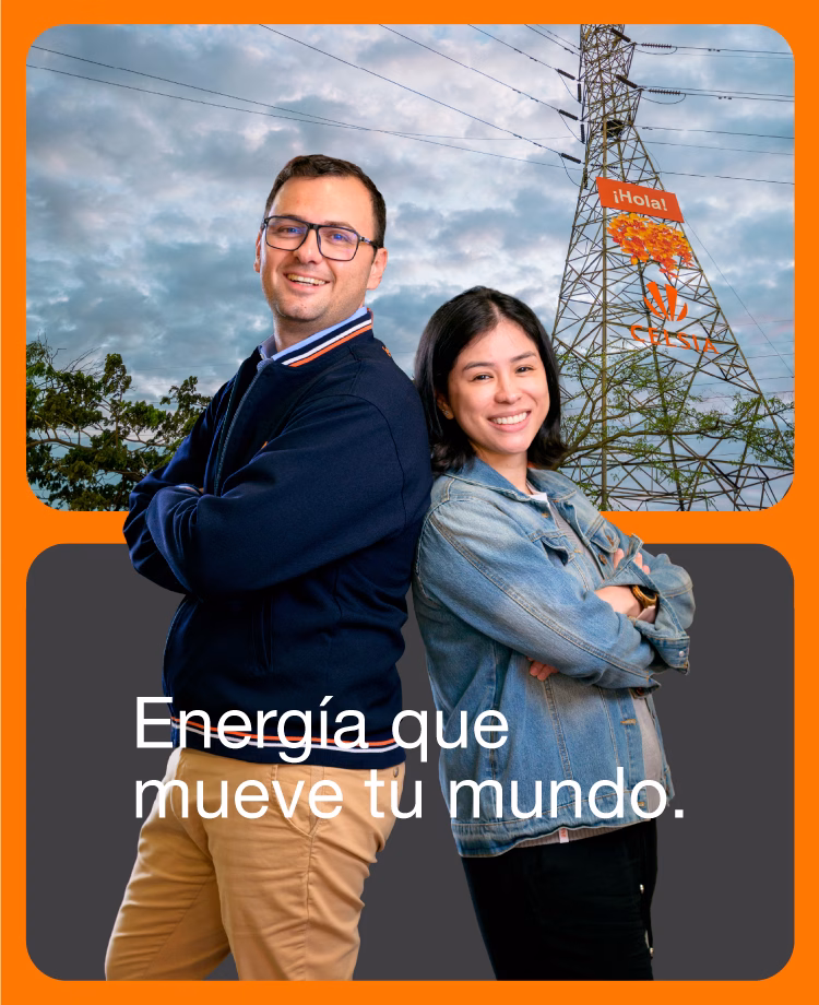 Dividends and Certificates