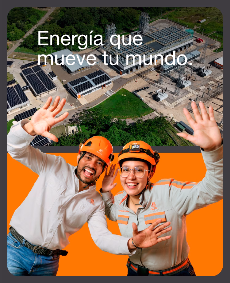 Dividends and Certificates