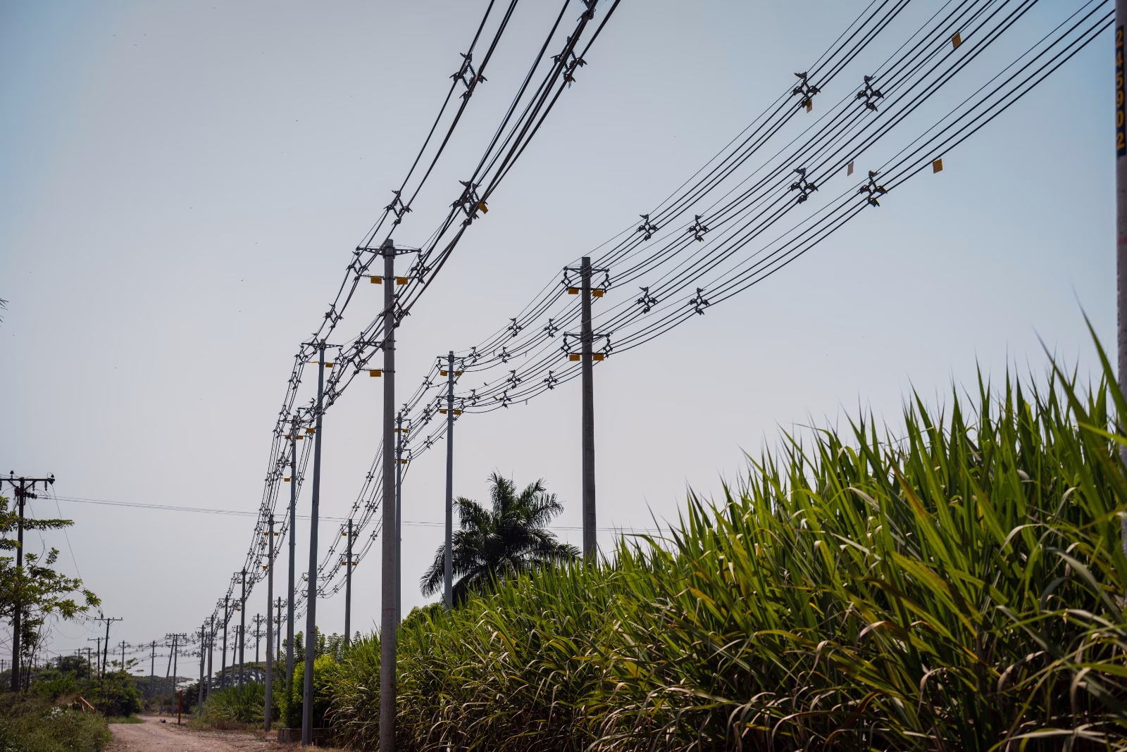 Celsia informa las condiciones de su infraestructura eléctrica en Tolima, tras el sismo registrado hoy en Colombia
