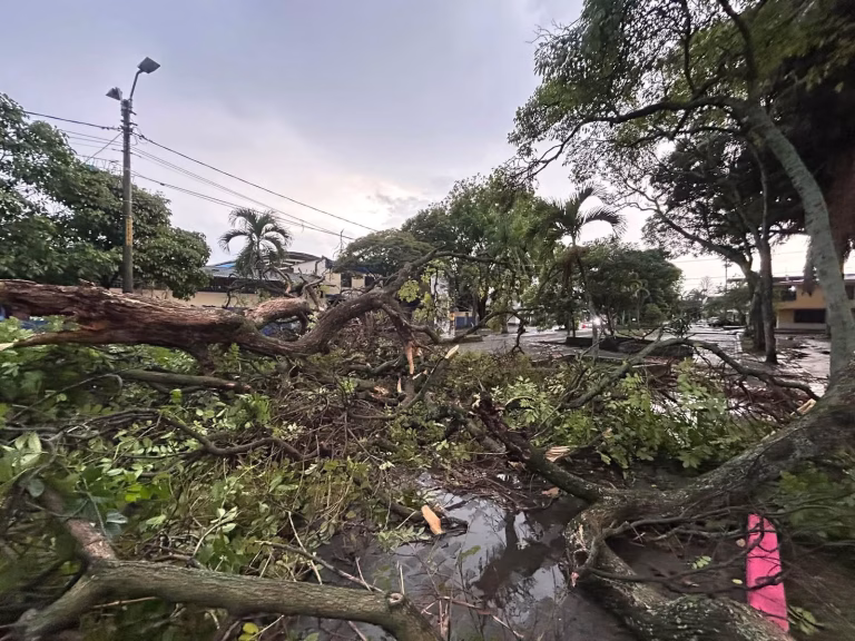 Fuerte tormenta genera afectaciones en el servicio de energía en Palmira y El Cerrito