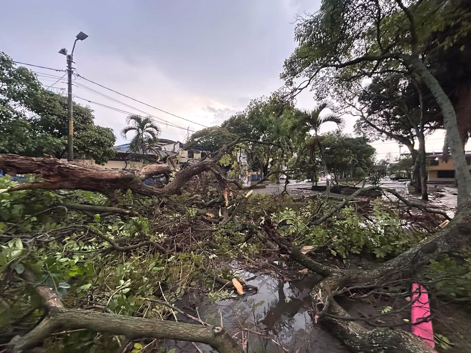 Fuerte tormenta genera afectaciones en el servicio de energía en Palmira y El Cerrito